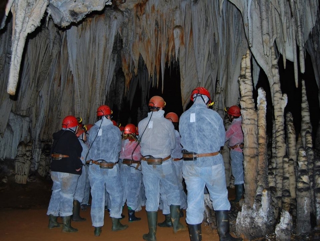 Visita guiada en el interior