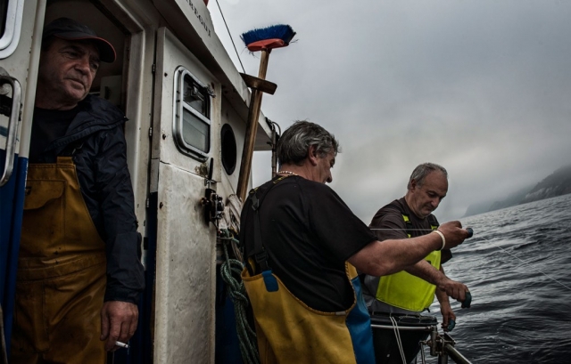 Maestros pescadores