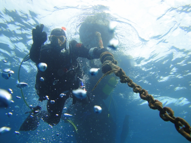  Diving 