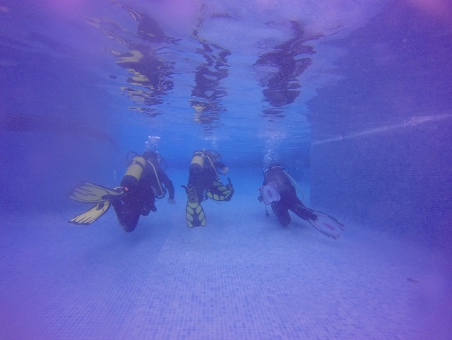  Divers practicing in the pool 