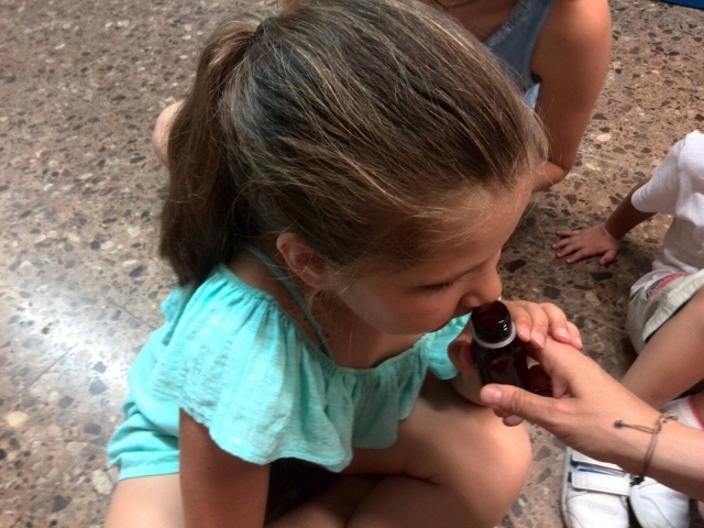 Descubriendo los aromas