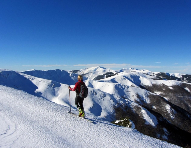 Alrededores nevados