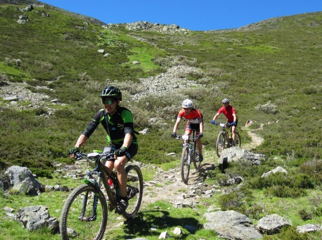 Descenso