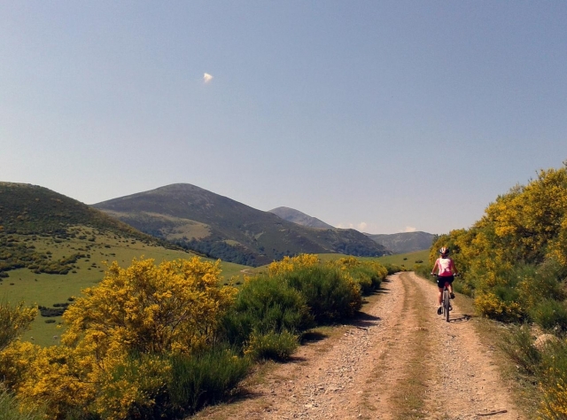 Montando en bicicleta