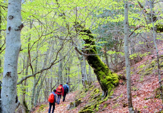 Excursiones