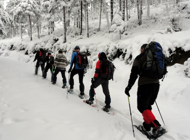Ruta en raquetas de nieve