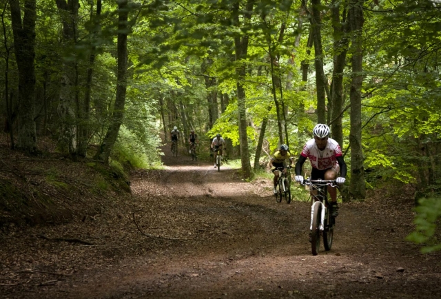 Rutas BTT
