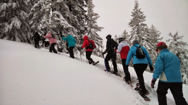 e-19736666-raquetas-de-nieve14841270947820.jpg
