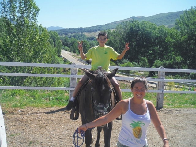  Cavalos na fazenda 