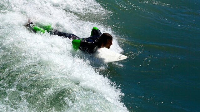  Practicing the sport of surfing 