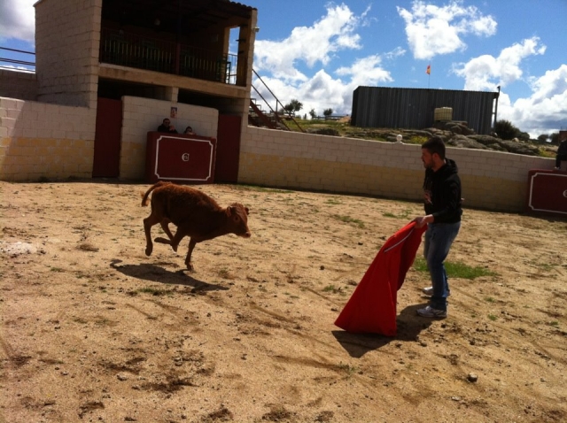 Enfrentando la vaquilla