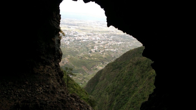  Views of the walk 