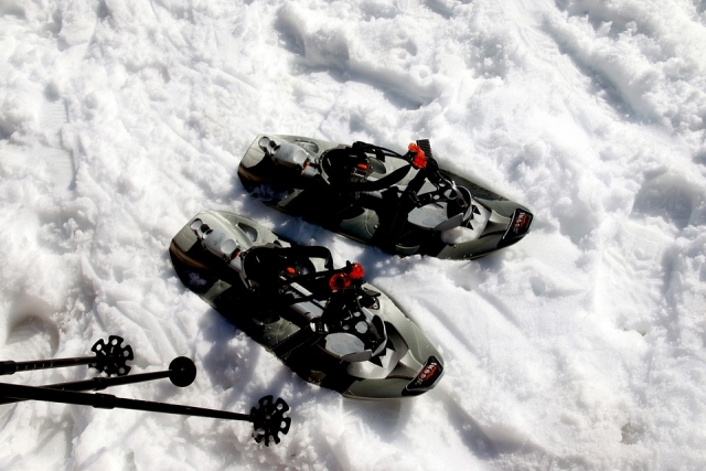 e-19737083-snow-shoes-417933-960-72014858543279419.jpg