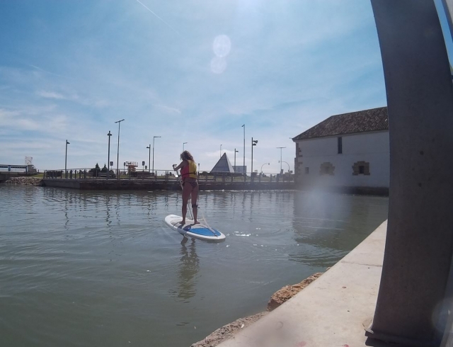  Apprendre à contrôler la planche de sup 