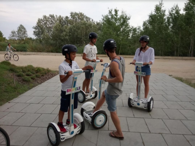  Guardando i comandi del segway 