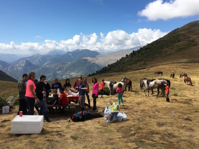  Giornata picnic con i cavalli 