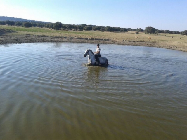 Con el caballo en el agua