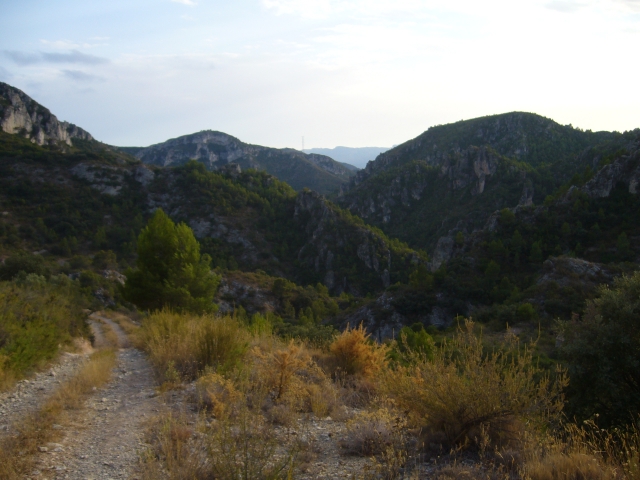  Rock paintings from the Vilella caves 