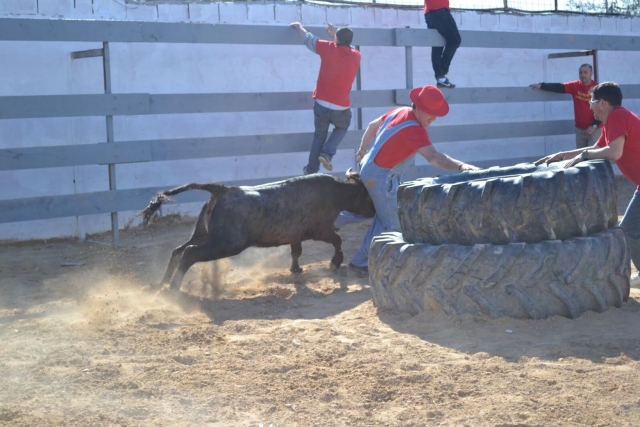 Capea con la vaquilla en la plaza cuadrada