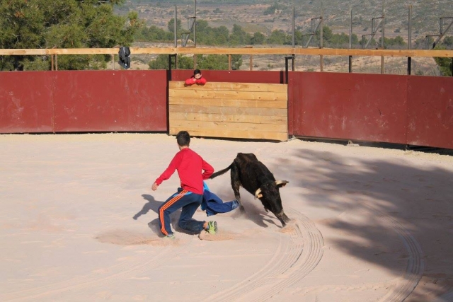 Chico con la vaquilla