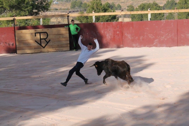 Con una de las vaquillas