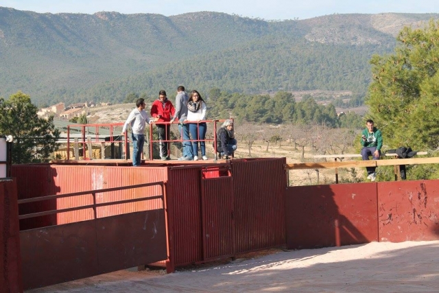 Contemplando la capea desde las alturas