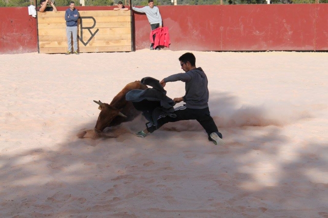 Recortando la vaquilla
