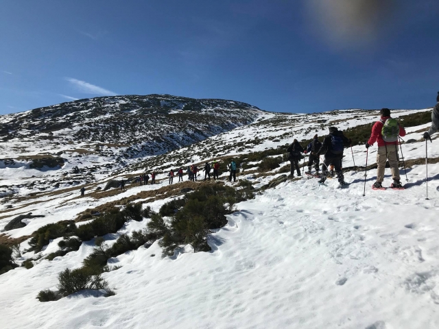  Snowshoeing