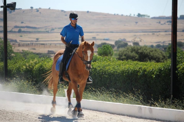  与马在周围散步 