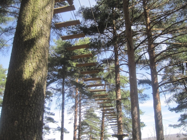  Détail du pont suspendu 