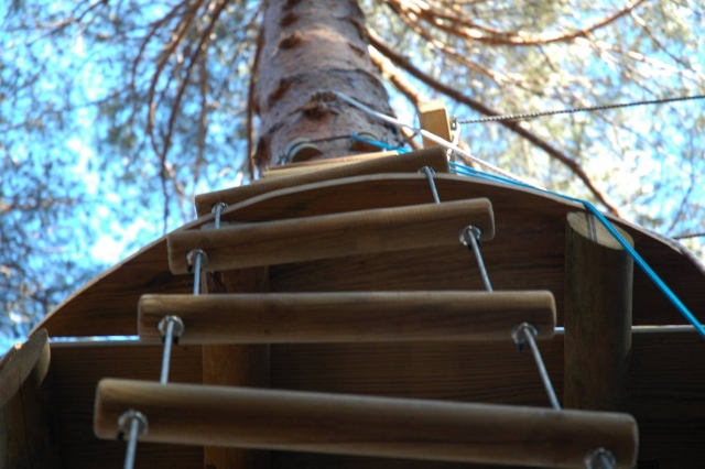  Echelle pour grimper à l'arbre 