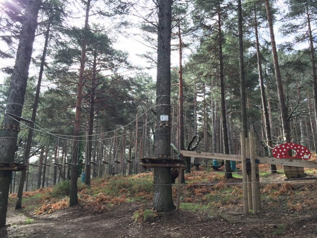  Visite en forêt 