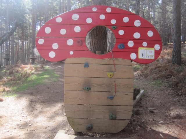  Mur d'escalade pour enfants 