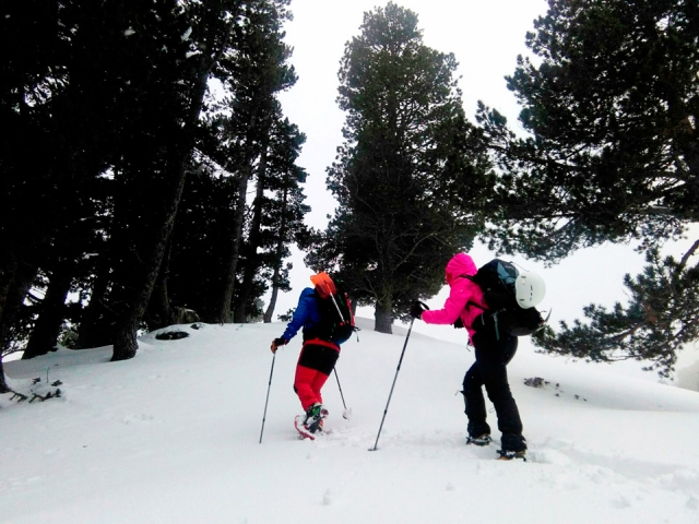 Snowshoe crossing 