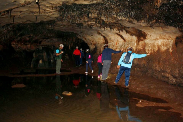  Guided tours 