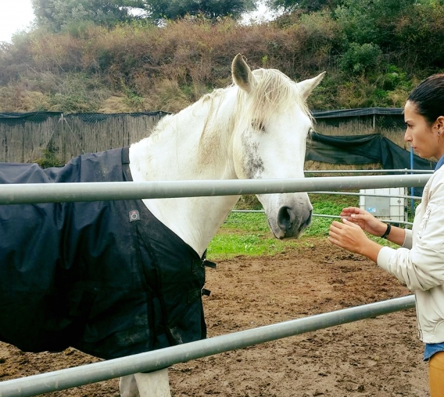 Cuidando del caballo blanco