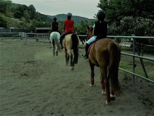 Cabalgando por la pista