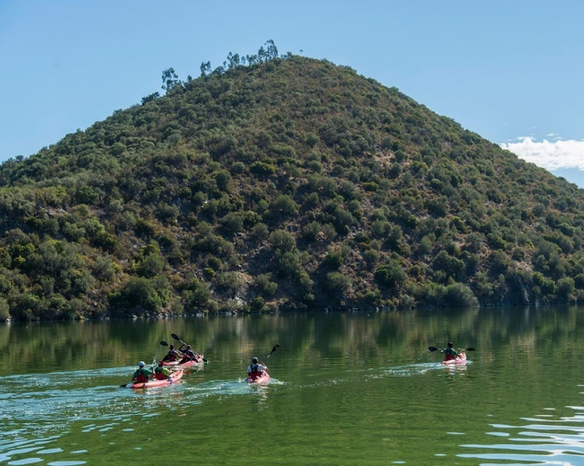 Excursión en kayak por el parque natural del Tajo