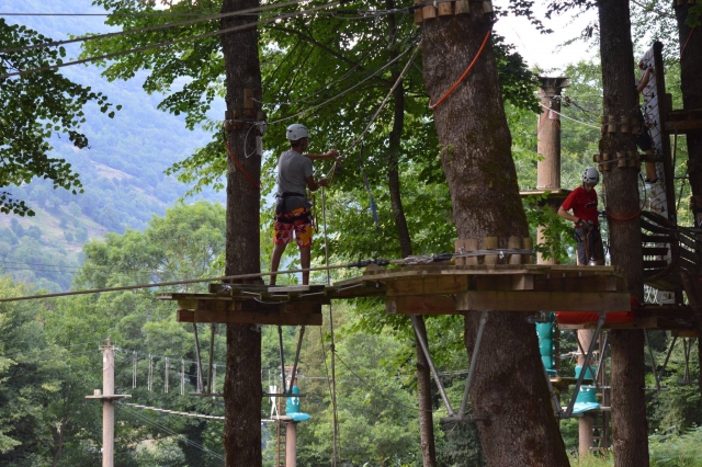  Circuito di arrampicata sugli alberi 