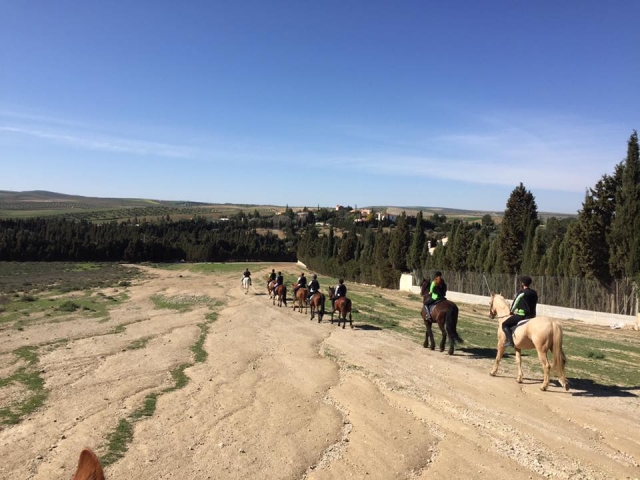  En approche de la ville avec les chevaux 