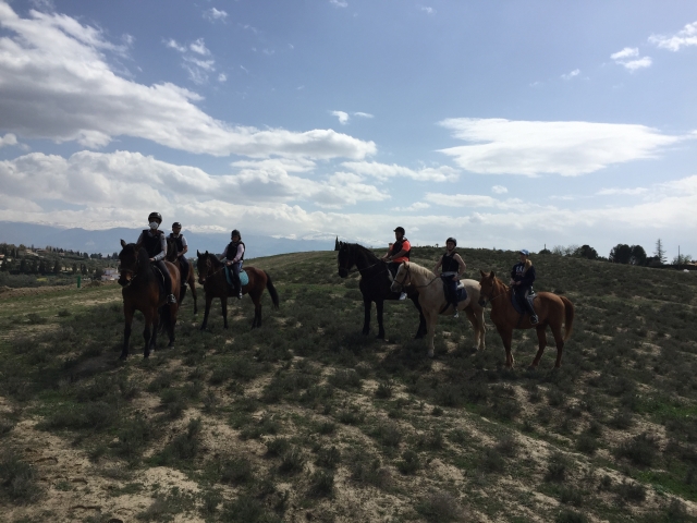  Avec les chevaux dans le pré 