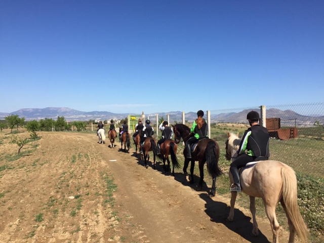  Marcher le long de la sentier à cheval 