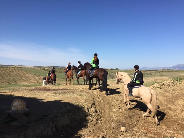  Remonter la pente à cheval