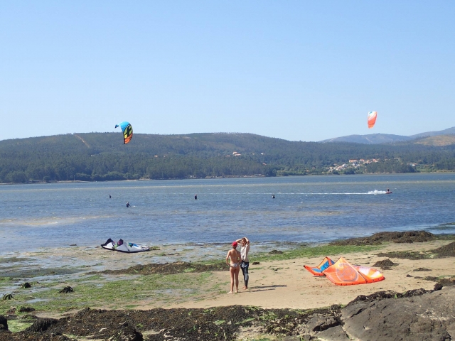 Kites extendidos en la playa