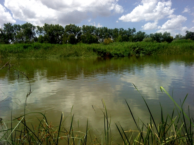  Ribera del Tajo