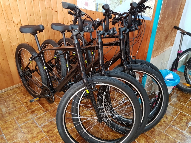 Nuestras bicis