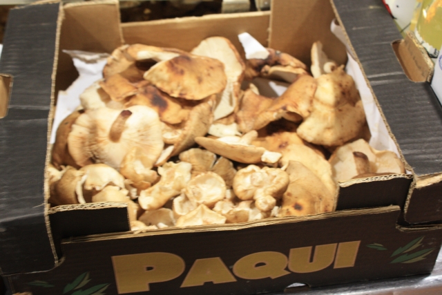 Setas en caja