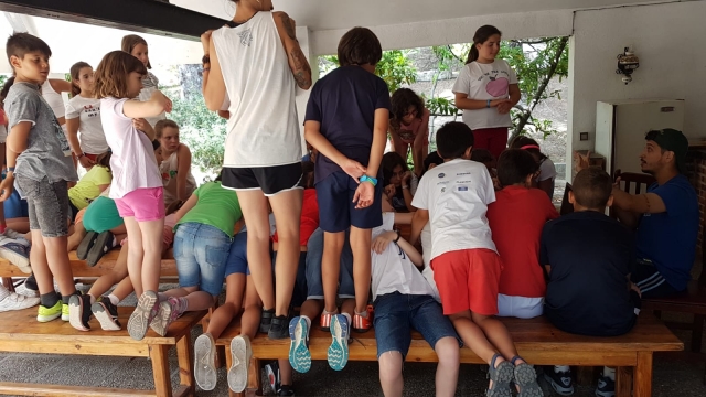  3f0ef649-37f6-4567-873e-c3ab2850 a 339-002.jpg 