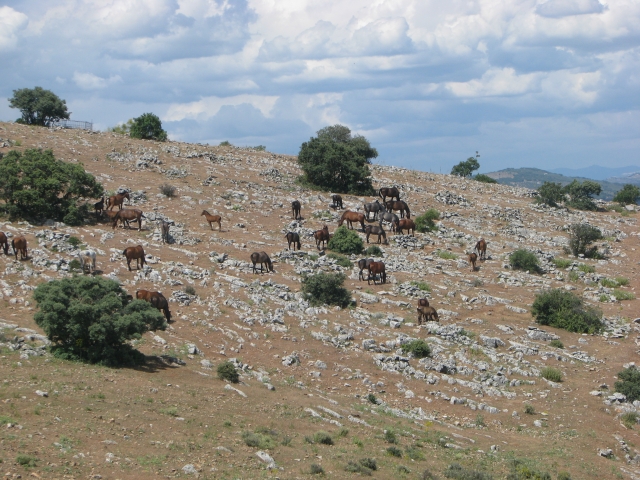  Fattoria in montagna 
