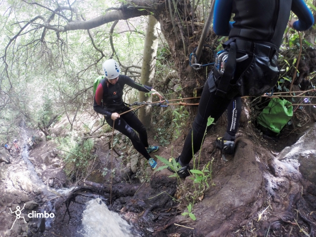  Rappelling from the tree 